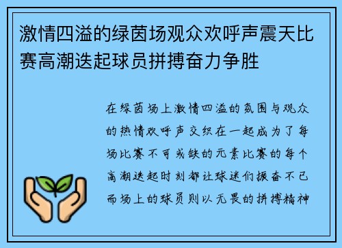 激情四溢的绿茵场观众欢呼声震天比赛高潮迭起球员拼搏奋力争胜
